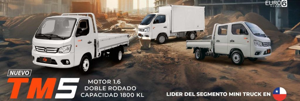 Foton Tm Mas Rodado Cabina Simple Grass Y Arueste