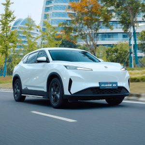 600x600px-Galeria-Mage-ev-_0002_Capa-2